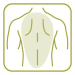 Back